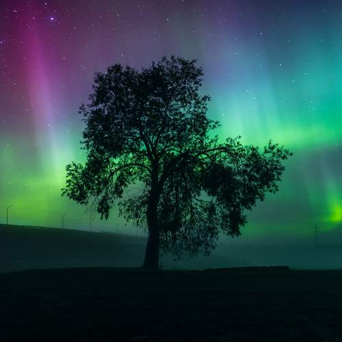 Photo #10698383