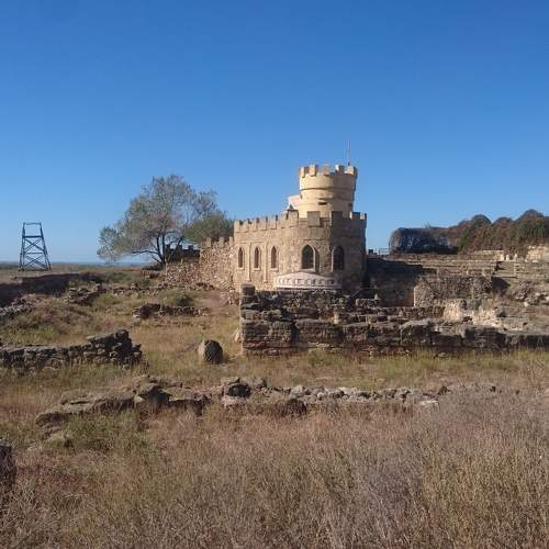 Photo #10698552