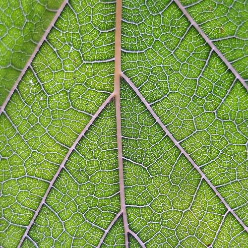 Photo #10698588