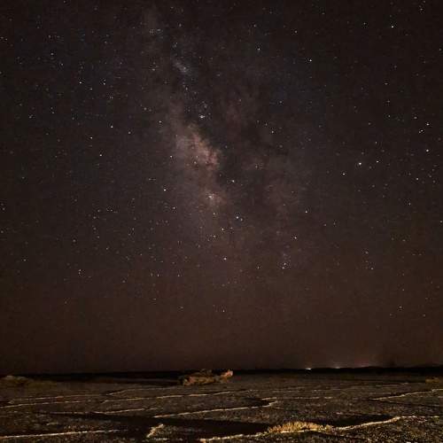 Photo #10698591