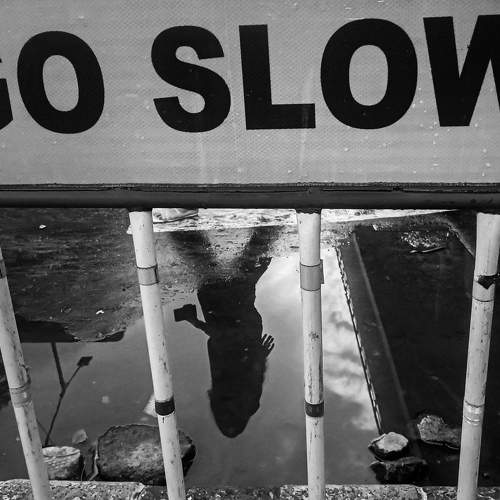 Photo #10698874