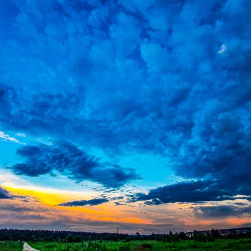 Photo #10698996