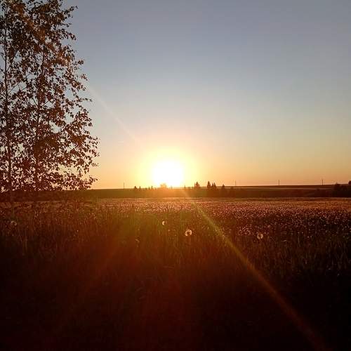 Photo #10699381