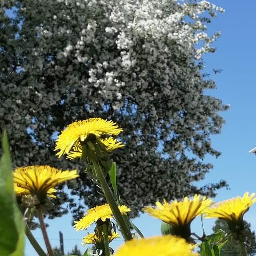 Photo #10699394