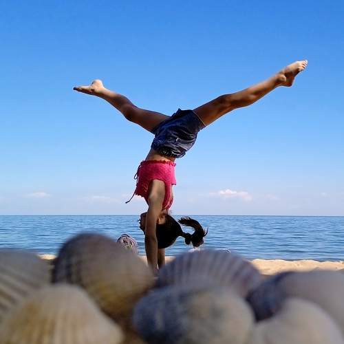 Photo #10699466