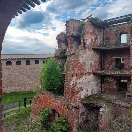 Photo #10699612