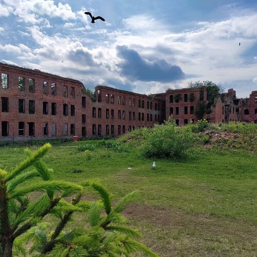 Photo #10699622