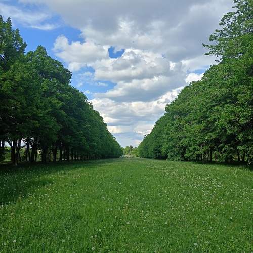 Photo #10699784