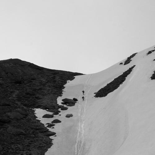 Photo #1072279