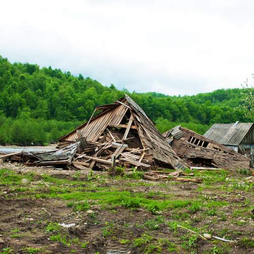 Photo #10700286