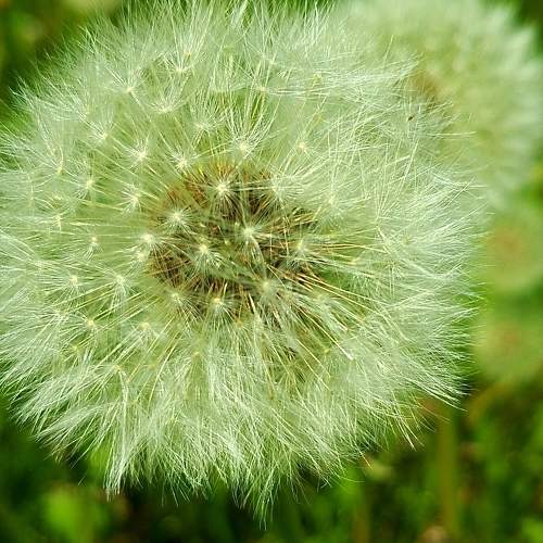 Photo #10700308