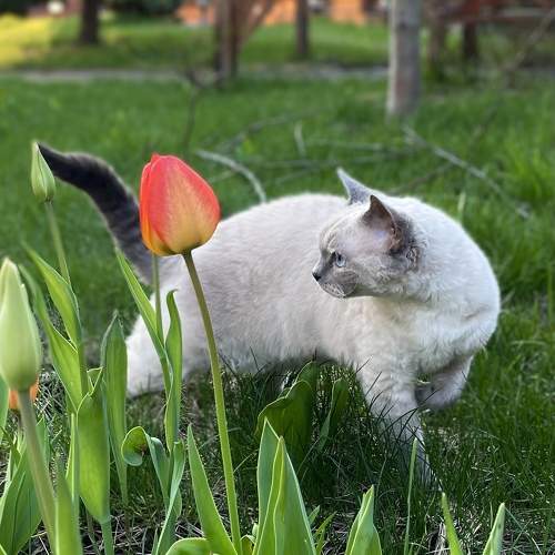 Photo #10700467