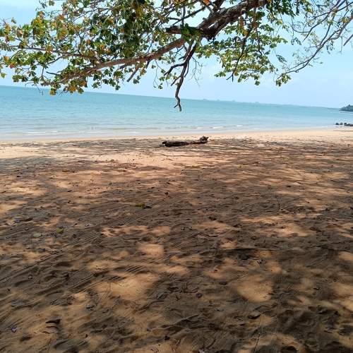 Photo #10700635