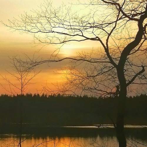Photo #10700807