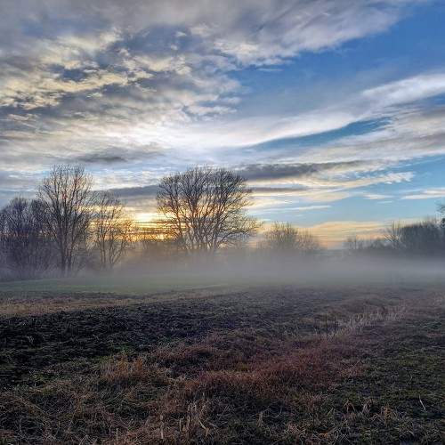 Photo #10701108