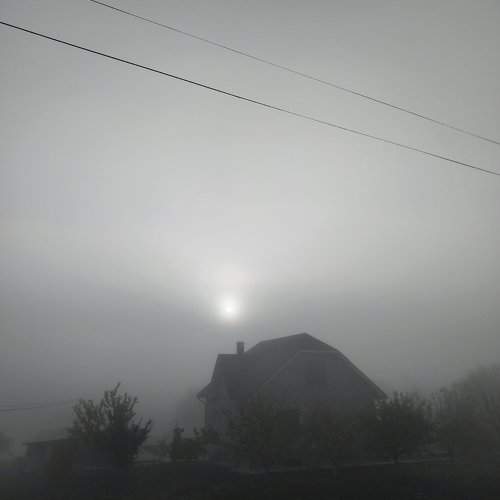 Photo #10701915