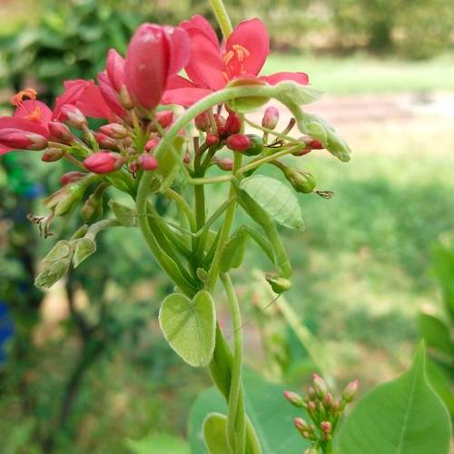 Photo #10702247