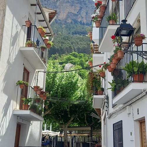 Photo #10702547