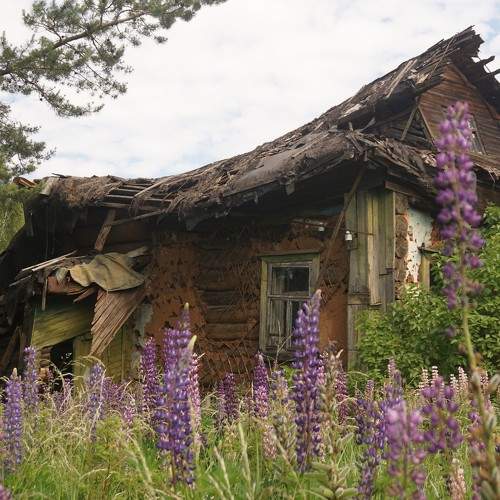 Photo #10702624