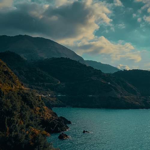 Photo #10702735