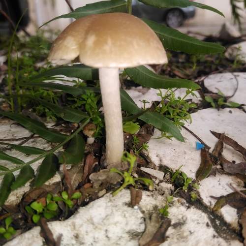 Photo #10702868