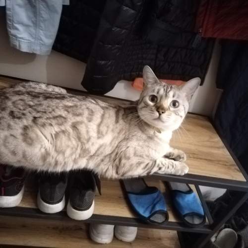 Photo #10703067