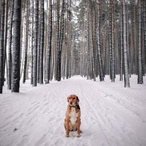 Photo #10703532