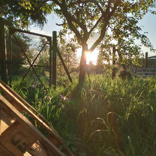Photo #10703974