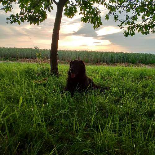 Photo #10703975