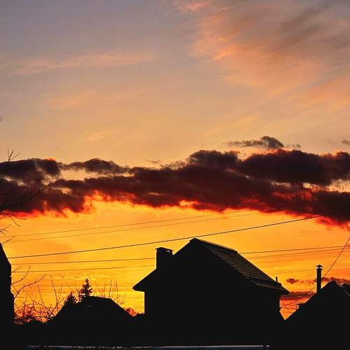 Photo #10704418