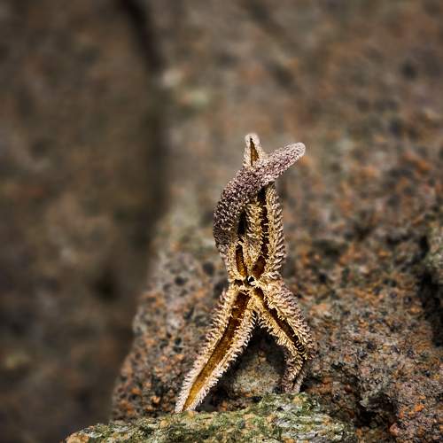Photo #10704508
