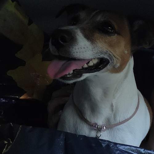 Photo #10704555