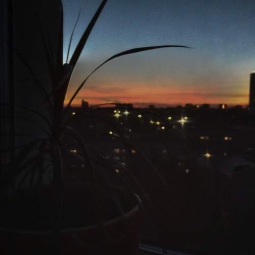 Photo #10704779