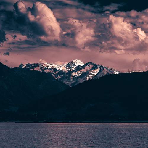 Photo #10704846