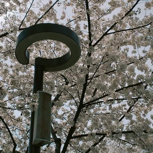 Photo #10705063