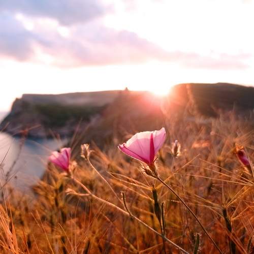 Photo #10705299