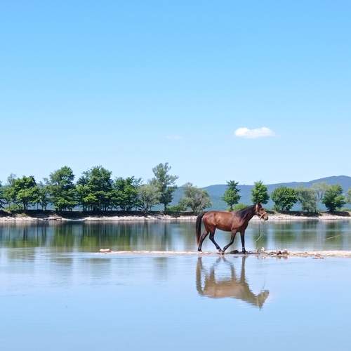 Photo #10705307
