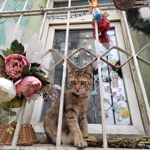 Photo #10705652