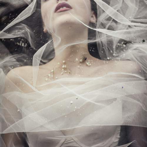 Photo #10705771