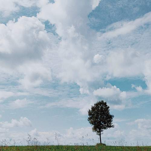 Photo #10706206