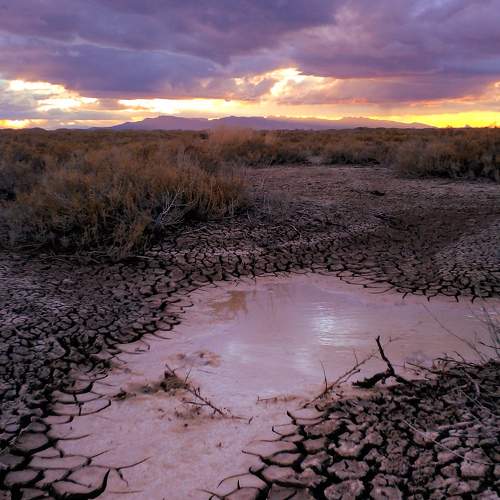 Photo #10706653