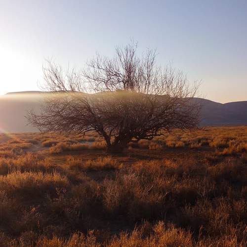 Photo #10706654