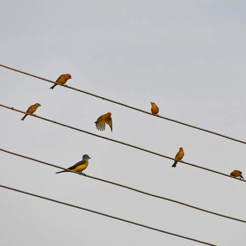 Photo #10706773