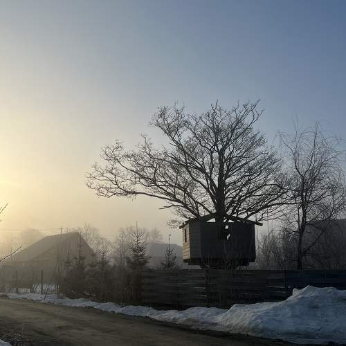 Photo #10706890