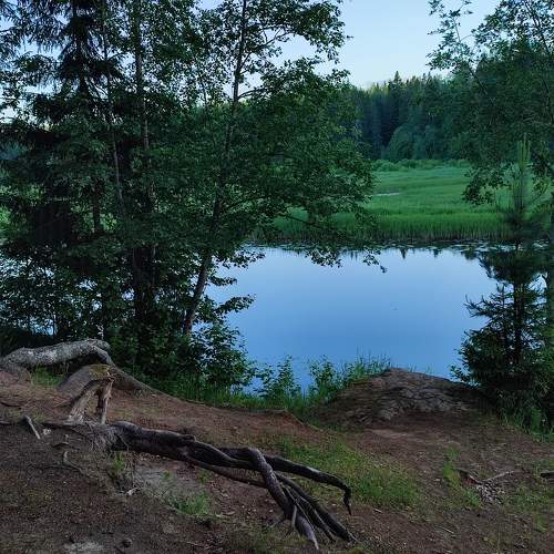 Photo #10707686
