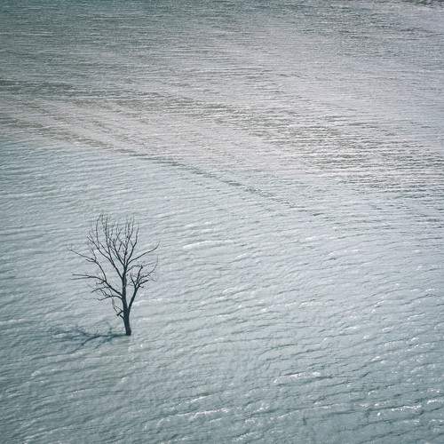 Photo #10707720