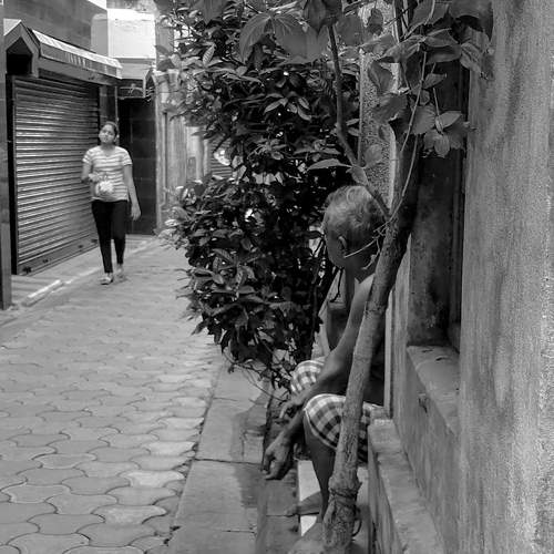 Photo #10708016