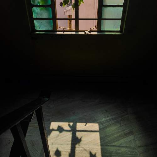 Photo #10708116