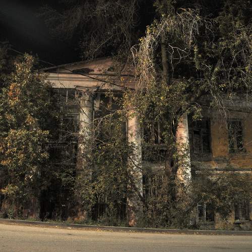 Photo #10708336