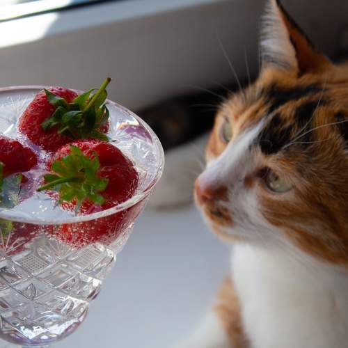 Photo #10708363